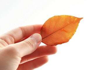 Sticker - A person grasping a single leaf, possibly symbolizing new beginnings or connection with nature