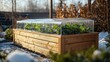 © Lamina - Raised garden bed in a wooden cold frame with a glass lid, condensation on the inside as plants thrive despite icy conditions outside.