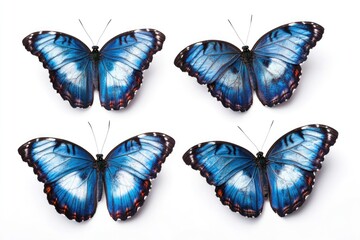 Wall Mural - A group of blue butterflies perched on a white surface, perfect for use in illustrations, designs, and more