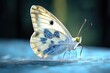 © Ева Поликарпова - A detailed shot of a butterfly perched on a surface