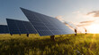 © Bernt Moss/Stocksy - Solar panels in the sunset on a green field