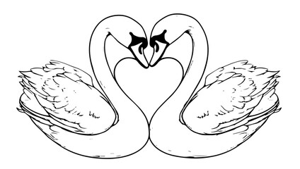 Wall Mural - two swans forming a heart in elegant hand-drawn black vector illustration