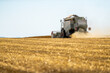 © oticki - Combine harvester at work, cutting through ripe wheat in a sprawling field under a clear sky