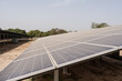 © Alvaro Lavin/Stocksy - Large solar panel farm generating green energy in senegal