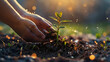 © Prameswara - Concept of touching plants growing again, hope for earth day