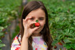 © Gemma can fly/Stocksy - Kid Harvesting Strawberries in Malaysia