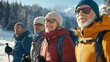 © HISTOCK - Group of hikers enjoying scenic winter mountain view