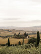 © Lupe Rodriguez/Stocksy - landscape in tuscany of san quirico d'orcia