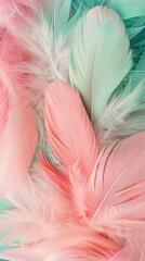 Canvas Print - Soft pastel feathers in pink and turquoise colors, creating a delicate and airy background texture with a feeling of tranquility and elegance.