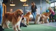 © Charoen - Staff ensuring a playful and nurturing environment for pets at a high-end boarding facility