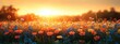 © zhuan - Vibrant Wildflower Field in Bloom During Golden Hour with Soft Sunlight and Blue Sky