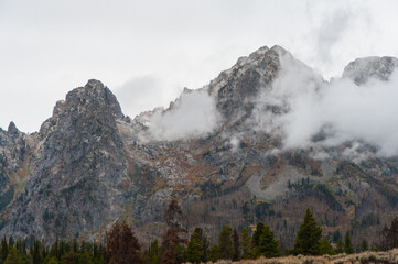 Wall Mural - Jagged mountain ridge cloaked in mist and surrounded by forest