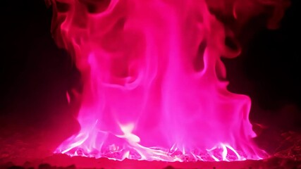 Wall Mural - vibrant pink flames dance in the night