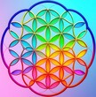 © Malakai - Flower of Life 3D Geometric Imagery With Rainbow Abstract Colored Background