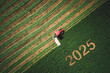 © ValentinValkov - 2025 Happy New year agriculture concept red tractor mowing green field