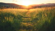 © SappiStudio - Pathway through a green meadow at sunset, with warm sunlight casting a soft glow over the tall grass and distant hills Valentine's day horizontal web banner, sale flyer, advert, greeting card