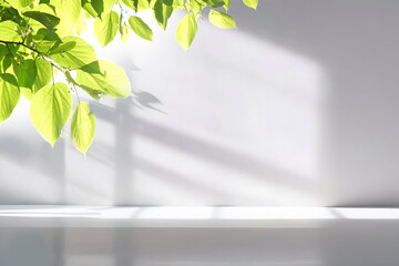 Fototapete - Beautiful shadow from a window and tree leaves on a white wall. Simple minimalistic natural background for presentation.