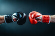 © Erik González - Two boxing gloves, one black and one red, are shown in a close up