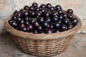 Wall Mural - garden of blackcurrant berries