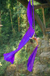 © Connect Images - Aerial silk performer executing an acrobatic pose suspended from vibrant purple fabric under a bridge with a backdrop of lush greenery, USA