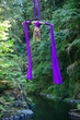 © Connect Images - Aerial performer executing a pose over a river on purple silk ribbons above a forest stream, USA