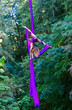 © Connect Images - Aerial silk performer executing a flexible backbend in a purple silk hammock amidst a lush green forest, USA