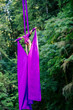© Connect Images - Aerial silk performer executing a pose with purple fabric in a lush green forest setting, USA