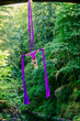 © Connect Images - Aerial silk performer hanging from vibrant purple fabric under a bridge in a lush green forest setting, USA