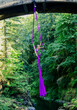 © Connect Images - Aerial silk performer executing a pose on vibrant purple fabric suspended from a bridge over a serene river in a forest, USA