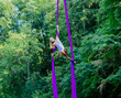 © Connect Images - Woman performing aerial silks acrobatics in a lush green forest, USA