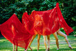 © Connect Images - A playful group of 4 dancers shrouded in a billowing red fabric outdoors, expressing a sense of freedom and creativity, USA