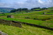 © Chris Rose - Early autumn sunshine on a landscape of barns and drystone walls in the countryside near Bainbridge in the Yorkshire Dales