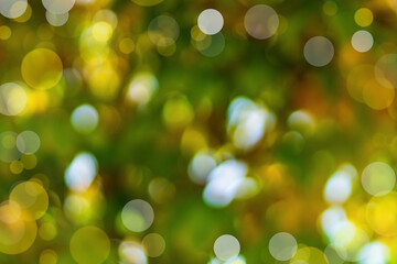 Wall Mural - autumn abstract blurred background with bokeh effect with defocus. natural seasonal colors of garden