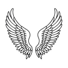 Vector outline Angel wings on white background