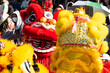 © arcyto - Chinese lion dance show on street in the Chinese New Year festival.Chinese lion costume used during Chinese New Year celebration in China town.Holidays and celebrations concept. Selective focus