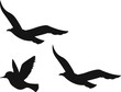 © Aliyudin - Flying birds silhouette flock. hand drawing. Not AI, Vector illustration