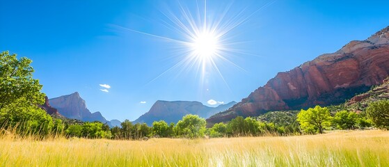 Sticker - A large field of grass with a bright sun shining on it