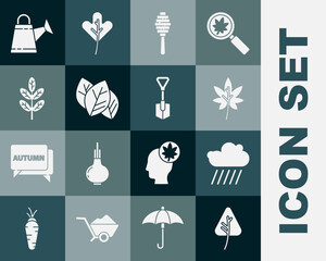 Wall Mural - Set Leaf or leaves, Cloud with rain, Honey dipper stick, Watering can and Shovel icon. Vector