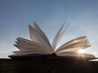 © Anna - the sun shines through the open pages of a book against the sky. Rest and reading. Read the book with pleasure. Educational concept. time to read. Digital detox