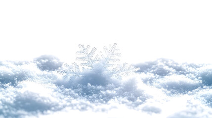 Canvas Print - A close-up of a snow isolated on white background.