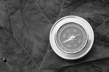 Wall Mural - classic navigation compass on natural background