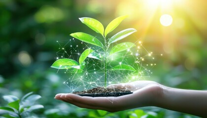 Leinwandbilder - Hand Holding a Young Plant Surrounded by a Network of Light