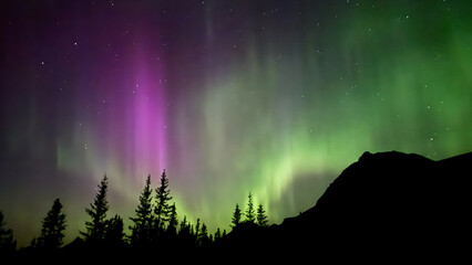 northern lights in banff canada
