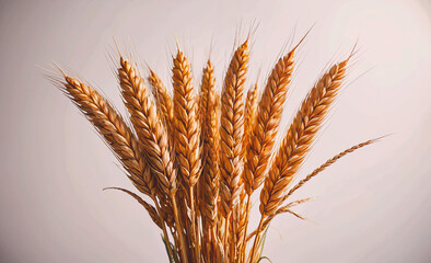 Poster - Bunch of golden wheat is displayed in a bunch. The wheat is brown and has a slightly rough texture. The wheat is arranged in a way that it looks like a small tree