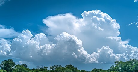 Wall Mural - Majestic cumulus clouds dominate a vibrant blue sky, creating a breathtaking natural scene. The fluffy white clouds contrast beautifully with the deep blue canvas above.