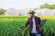 © kamonrat - Modern Farmer Utilizing Laptop and Smartphone in Rice Field, Integrating Smart Farming Techniques Near Greenhouses for Precision Agriculture and Sustainable Farming Innovation