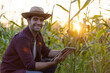 © kamonrat - Male Farmer Using Tablet in Cornfield During Sunset, Showcasing Modern Agriculture Technology and Digital Tools for Efficient Crop Management, Monitoring Growth, and Sustainable Farming Practices