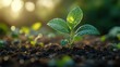 © Lina - The green planet plant symbolizes the interconnectedness of nature and the importance of environmental sustainability