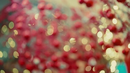 Wall Mural - Twinkling String Lights In A Christmas Tree During Holidays. Defocus Shot
