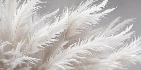 Wall Mural - feathery background with wispy strands in shades of white, gentle, serene, peaceful